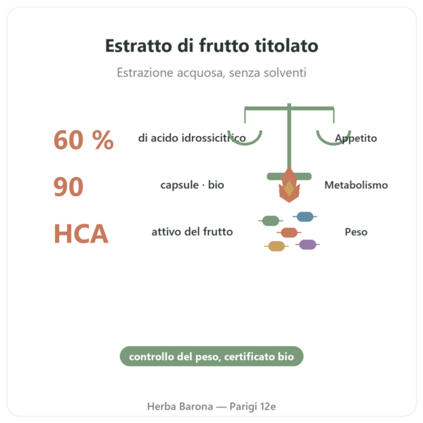 Garcinia cambogia bio (acido idrossicitrico) – Dynveo – 90 capsule benefici e dati chiave Paris Herba Barona