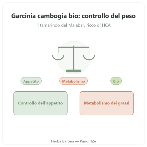 Garcinia cambogia bio (acido idrossicitrico) – Dynveo – 90 capsule presentazione Paris Herba Barona