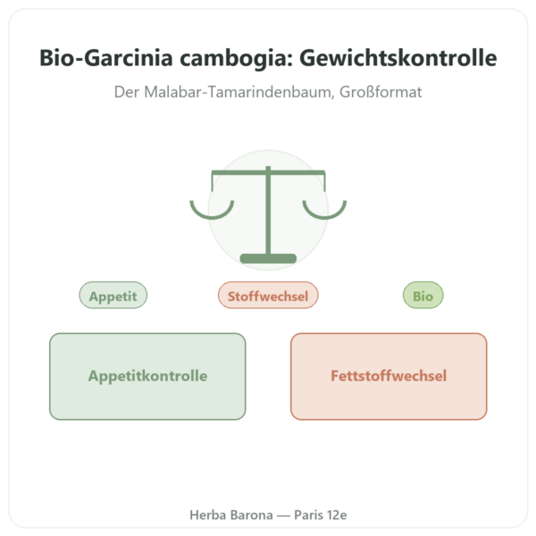 Garcinia Cambogia Bio HCA 60 % – Dynveo – 300 Kapseln Vorstellung Paris Herba Barona
