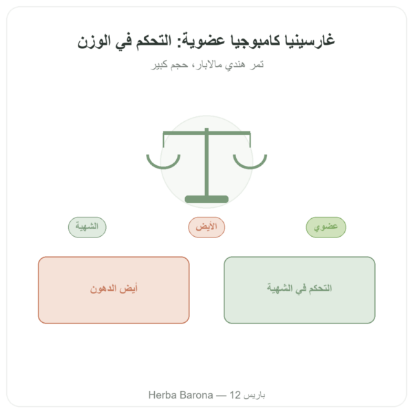 غارسينيا كامبوجيا عضوية Garcinia cambogia bio (hydroxycitrate) – Dynveo – 300 كبسولة عرض المنتج Paris Herba Barona