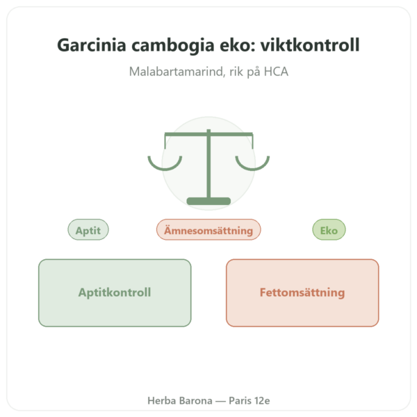 Garcinia cambogia (hydroxicitronsyra) – Dynveo – 90 kapslar presentation Paris Herba Barona