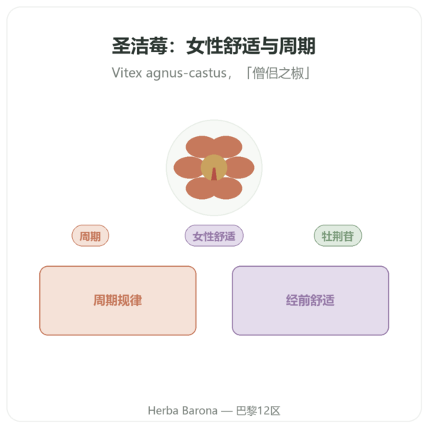 穗花牡荆提取物 250 mg – 0,6% 牡荆苷 – 60 粒胶囊 产品展示 Paris Herba Barona