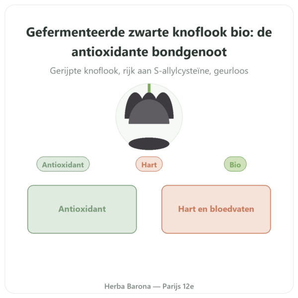 Gefermenteerde Zwarte Knoflook Bio – Dynveo – 60 capsules presentatie Paris Herba Barona