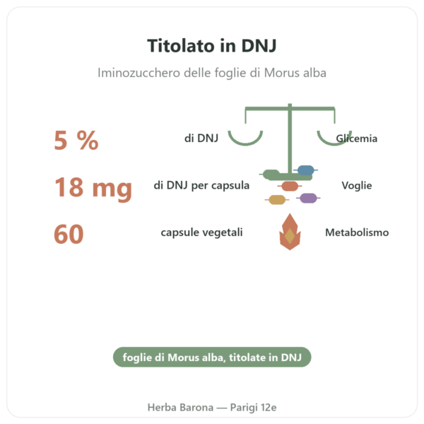 Gelso Bianco – titolato al 5% in DNJ – 60 capsule – DYNVEO benefici e dati chiave Paris Herba Barona