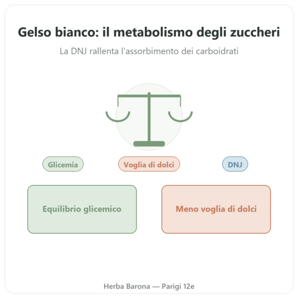 Gelso Bianco – titolato al 5% in DNJ – 60 capsule – DYNVEO presentazione Paris Herba Barona