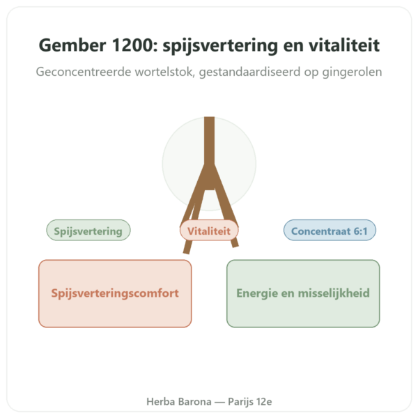 Gember 1200 – Be-Life – 90 capsules presentatie Paris Herba Barona