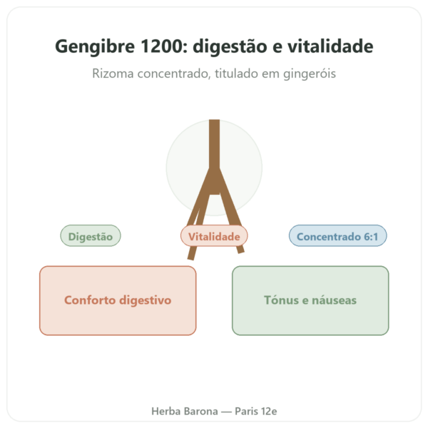 Gengibre 1200 – Be-Life – 90 Cápsulas – Comprar apresentação Paris Herba Barona