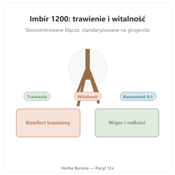 Gingembre 1200 Be-Life 90 kapsułek w Paryżu prezentacja Paris Herba Barona