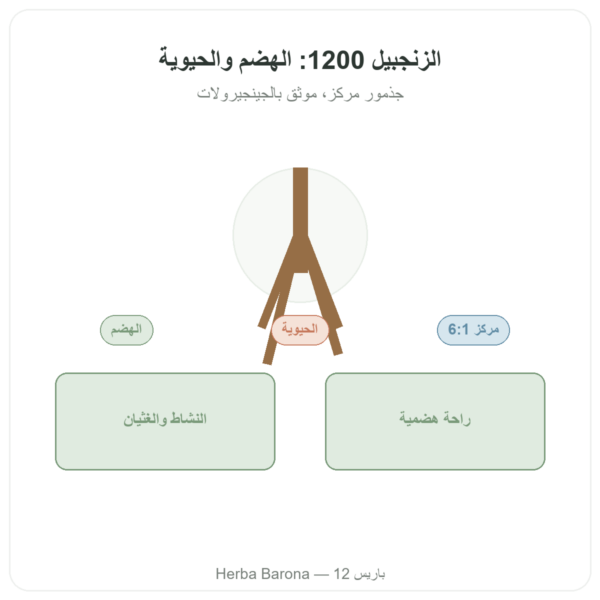 الزنجبيل 1200 – Be-Life – 90 كبسولة عرض المنتج Paris Herba Barona