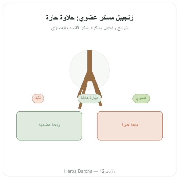 الزنجبيل المسكّر العضوي 200 غ SALDAC عرض المنتج Paris Herba Barona