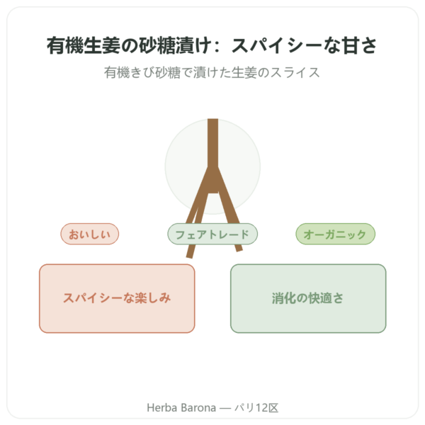 有機ジンジャー砂糖漬け BIO 200 g SALDAC presentation Paris Herba Barona