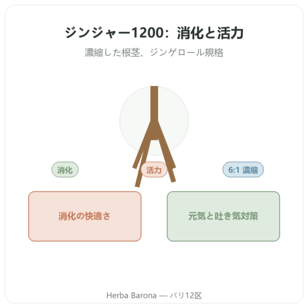ジンジャー 1200 – Be-Life – 90カプセル presentation Paris Herba Barona