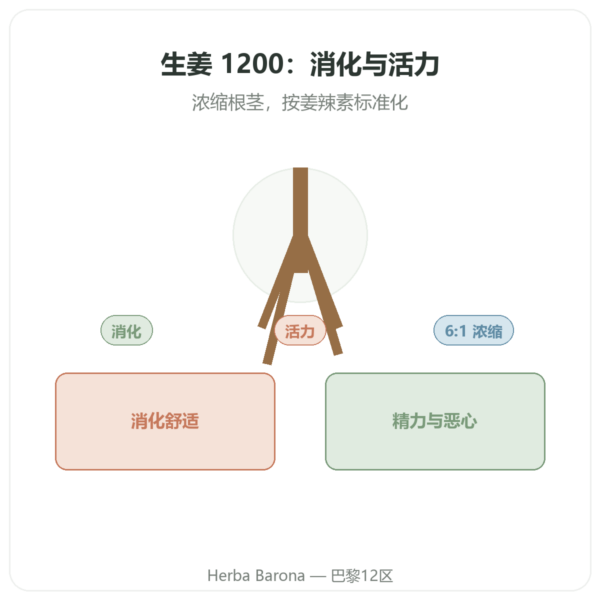Gingembre 1200 生姜 - Be-Life - 90 粒胶囊 产品展示 Paris Herba Barona