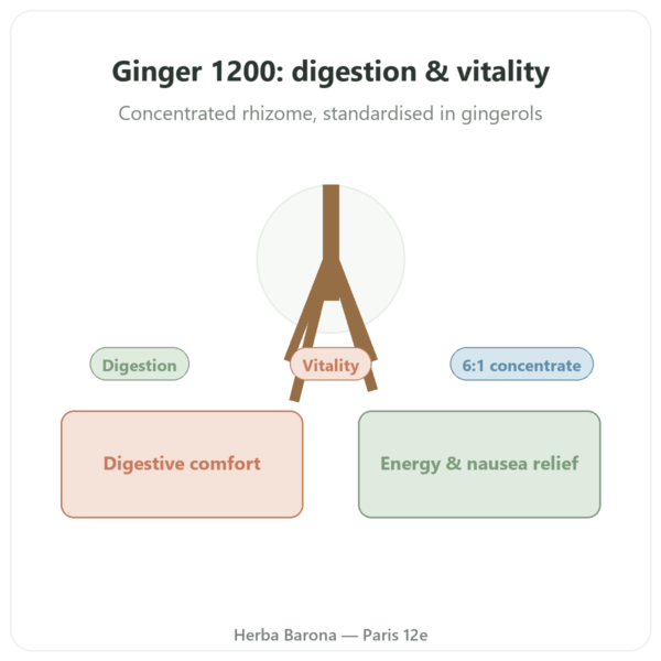 Ginger 1200 - Be-Life - 90 Capsules presentation Paris Herba Barona