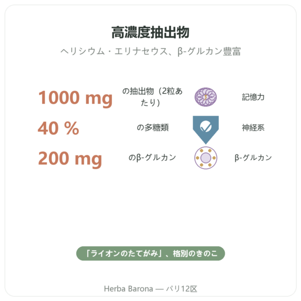 オーガニック ヤマブシタケ 500mg 高濃縮エキス – 60カプセル benefits and key facts Paris Herba Barona