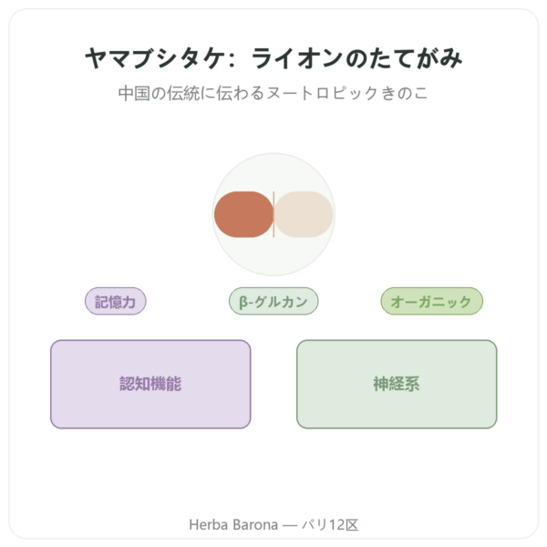 オーガニック ヤマブシタケ 500mg 高濃縮エキス – 60カプセル presentation Paris Herba Barona