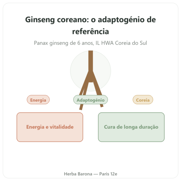Ginseng Coreano 100 cápsulas 500 mg IL HWA Coreia - Adaptogénio apresentação Paris Herba Barona