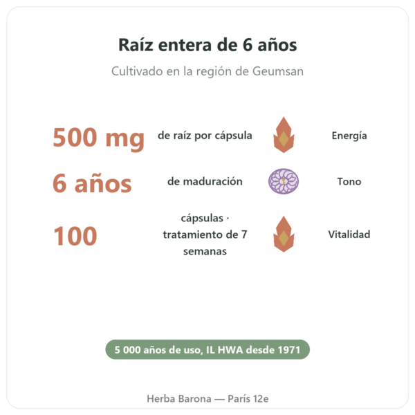 Ginseng Coreano 100 Cápsulas 500mg – IL HWA Corea – Adaptógeno beneficios y datos clave Paris Herba Barona
