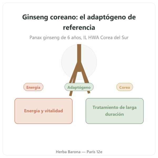 Ginseng Coreano 100 Cápsulas 500mg – IL HWA Corea – Adaptógeno presentación Paris Herba Barona