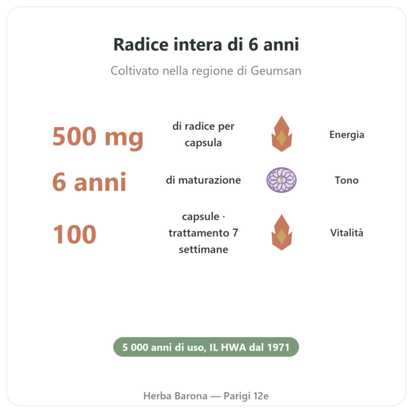 Ginseng Coreano 100 Capsule 500mg – IL HWA Corea – Adattogeno benefici e dati chiave Paris Herba Barona
