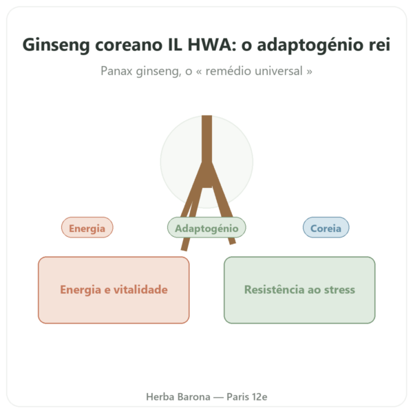 Ginseng Coreano 50 Cápsulas 500mg – IL HWA – Adaptogénio apresentação Paris Herba Barona