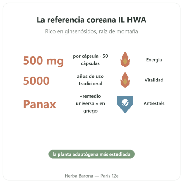 Ginseng Coreano 50 Cápsulas 500mg – IL HWA Corea – Adaptógeno beneficios y datos clave Paris Herba Barona