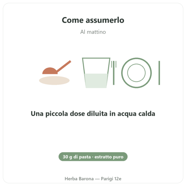 Ginseng di Corea in pasta Estratto coreano puro Il HWA – vaso 30 g modo d'uso e dosaggio Paris Herba Barona