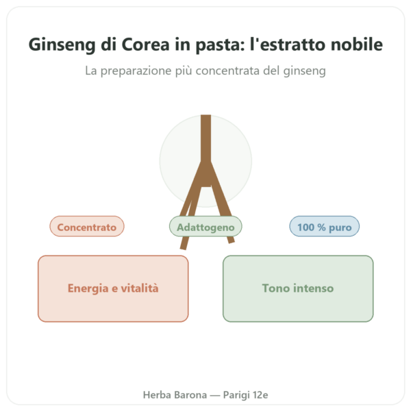 Ginseng di Corea in pasta Estratto coreano puro Il HWA – vaso 30 g presentazione Paris Herba Barona