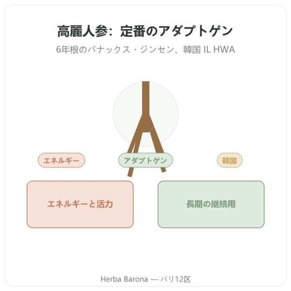 高麗人参 100カプセル 500mg IL HWA 韓国産 – アダプトゲン presentation Paris Herba Barona