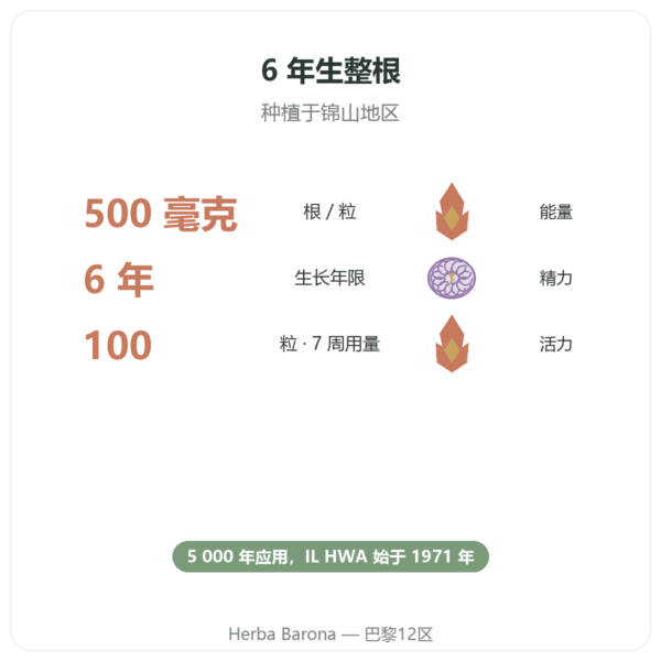 IL HWA 韩国人参 100粒 500毫克 - 适应原 功效与数据 Paris Herba Barona