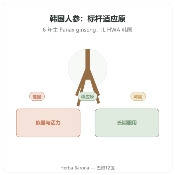 IL HWA 韩国人参 100粒 500毫克 - 适应原 产品展示 Paris Herba Barona