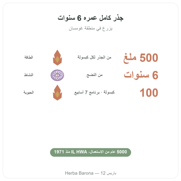 جينسنغ كوري 100 كبسولة 500 ملغ IL HWA كوريا - مكيّف (أدابتوجين) الفوائد والمعطيات الرئيسية Paris Herba Barona