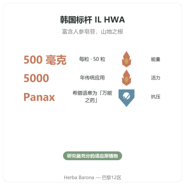 韩国高丽参 50 粒 500mg IL HWA 韩国产 - 适应原 功效与数据 Paris Herba Barona