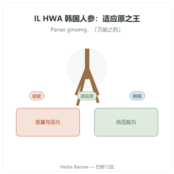 韩国高丽参 50 粒 500mg IL HWA 韩国产 - 适应原 产品展示 Paris Herba Barona