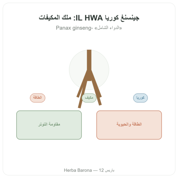 جينسنغ كوري – 50 كبسولة 500 مجم – IL HWA كوريا – نبات تكيّفي عرض المنتج Paris Herba Barona