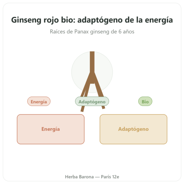Ginseng Rojo BIO – Dynveo – 20% ginsenósidos – 200mg – 60 cápsulas presentación Paris Herba Barona