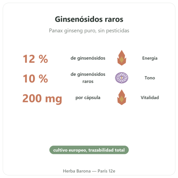 Ginseng Rojo Premium – Dynveo – 200mg – 60 cápsulas beneficios y datos clave Paris Herba Barona
