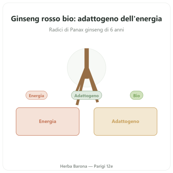 Ginseng rosso bio – Dynveo – 20% ginsenosidi – 200mg – 60 capsule presentazione Paris Herba Barona