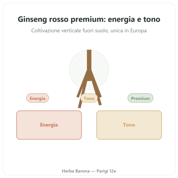 Ginseng Rosso Premium – Dynveo – 200mg – 60 capsule presentazione Paris Herba Barona