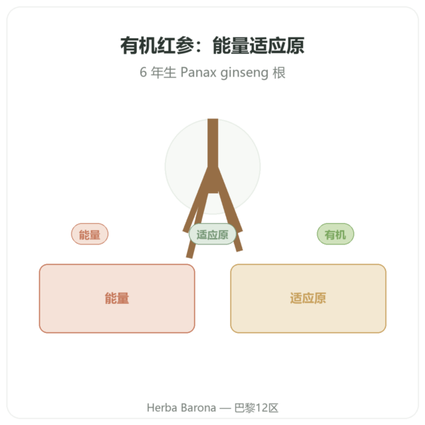 有机红参 - Dynveo - 20% 人参皂苷 – 200mg – 60 粒胶囊 产品展示 Paris Herba Barona