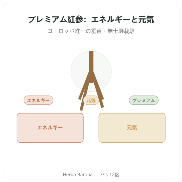 紅参プレミアム – Dynveo – 200mg – 60カプセル presentation Paris Herba Barona