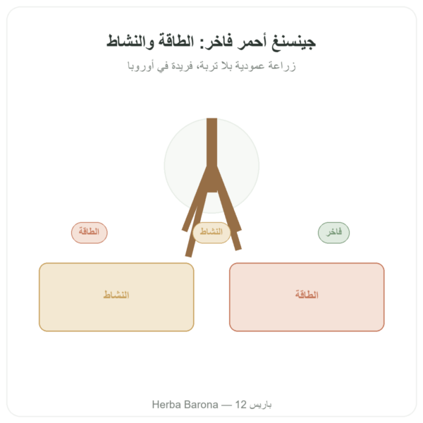 جينسنغ أحمر ممتاز – Dynveo – 200 ملغ – 60 كبسولة عرض المنتج Paris Herba Barona