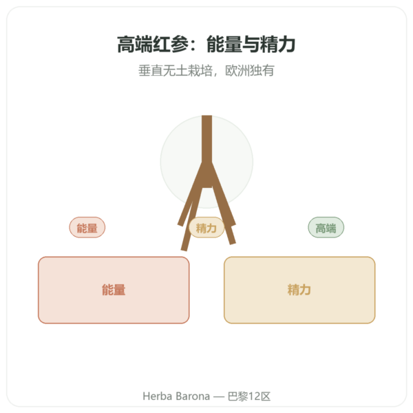 顶级红参 – Dynveo – 200mg – 60 粒 产品展示 Paris Herba Barona