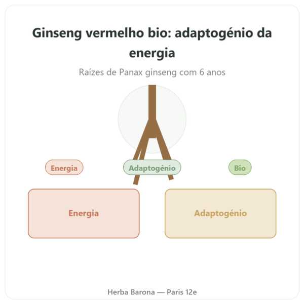 Ginseng vermelho bio – Dynveo – 20% ginsenosídeos – 200mg – 60 cápsulas apresentação Paris Herba Barona
