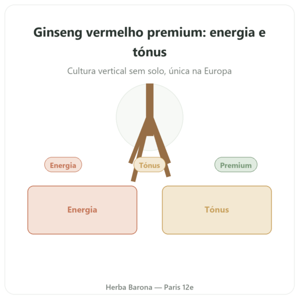 Ginseng Vermelho Premium – Dynveo – 200mg – 60 cápsulas apresentação Paris Herba Barona