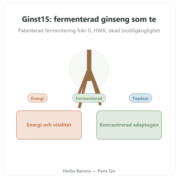 Ginst15: det Fermenterade Ginsengteet IL HWA 30 påsar presentation Paris Herba Barona