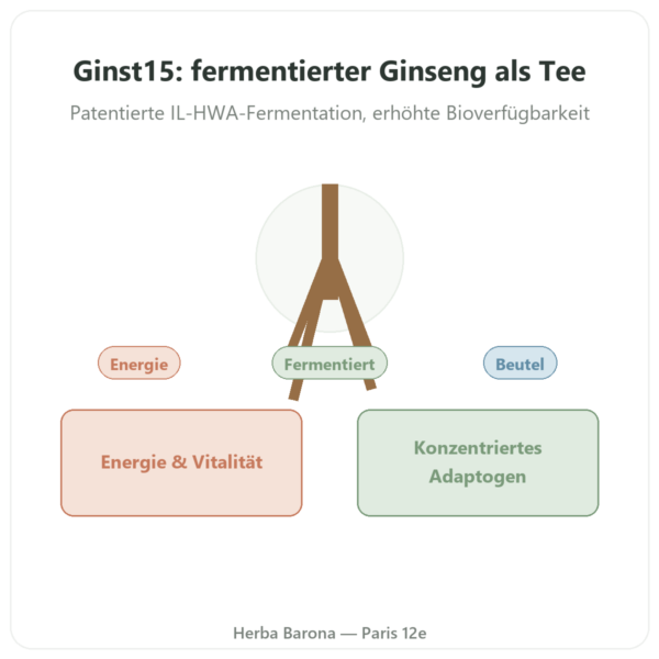 Ginst15: fermentierter Ginseng-Tee IL HWA – 30 Beutel Vorstellung Paris Herba Barona