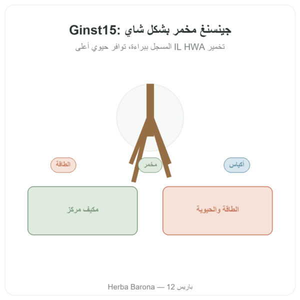 Ginst15 – شاي الجينسنغ المخمر IL HWA – 30 كيسًا عرض المنتج Paris Herba Barona