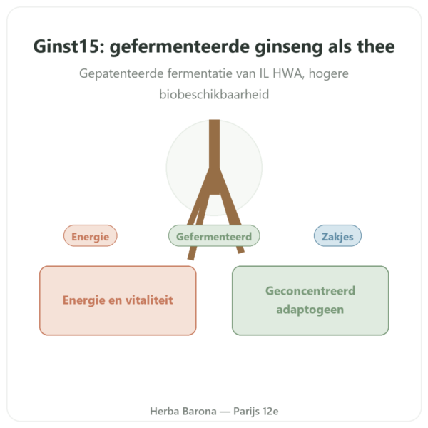 Ginst15 Gefermenteerde Ginsengthee IL HWA 30 zakjes presentatie Paris Herba Barona