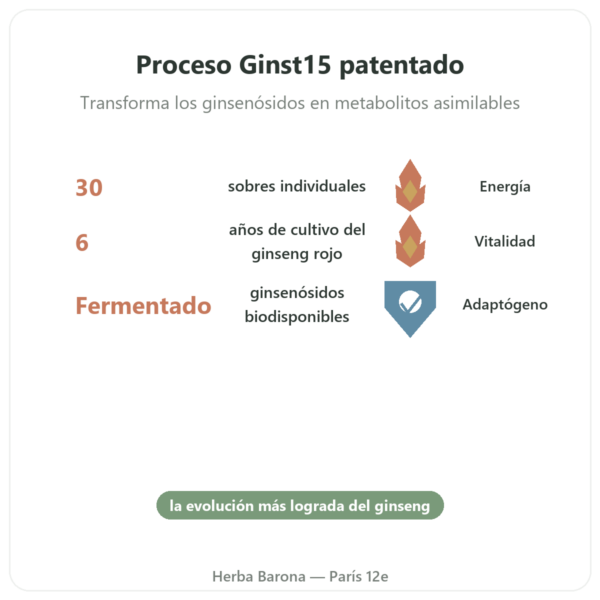Ginst15: el Ginseng Té Fermentado IL HWA – 30 Sobres beneficios y datos clave Paris Herba Barona